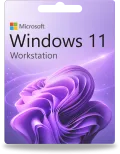 Windows 11 Workstation