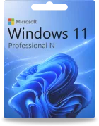 Microsoft Windows 11 Professional n
